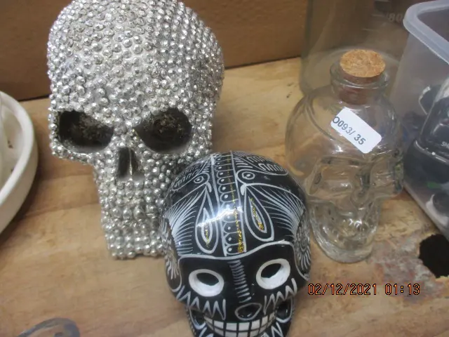 Skulls Image 1++