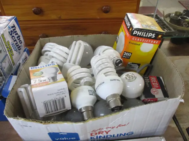Light Bulbs Image 1++