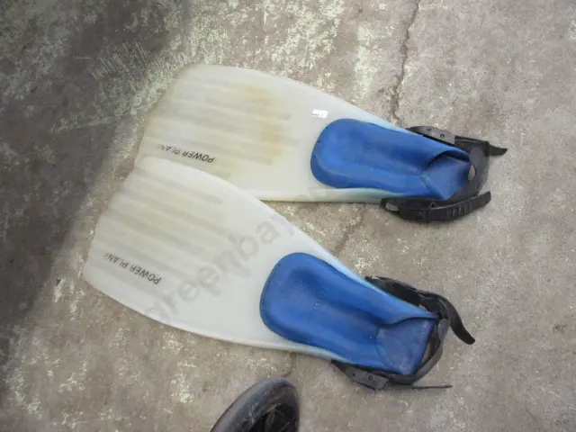 Flippers Image 1++