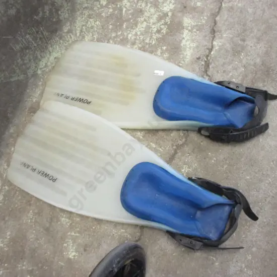 Flippers