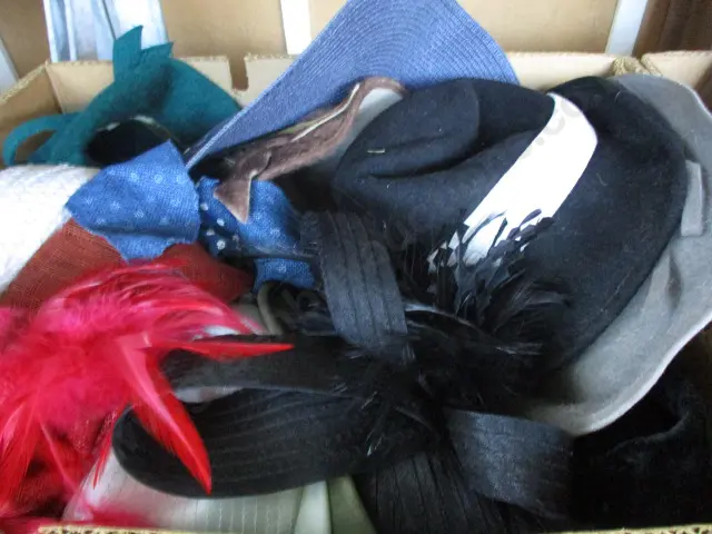 Hats Image 1++