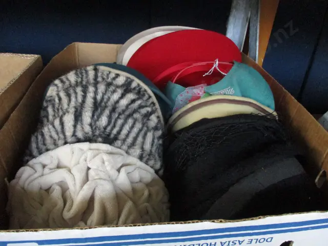Hats Image 1++