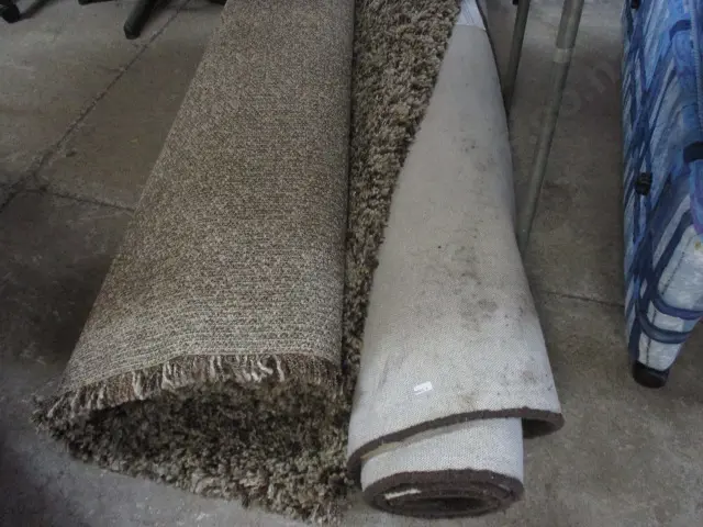 2 Rugs Image 1++