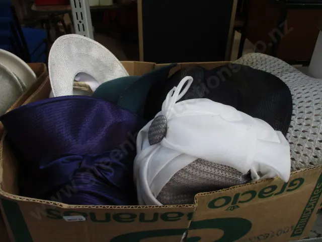 Hats Image 1++