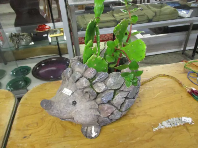 Hedgehog Planter Image 1++