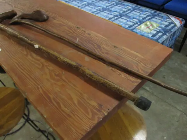 2 Walking Sticks Image 1++