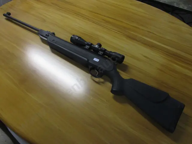 Slug Rifle with Sight Image 1++