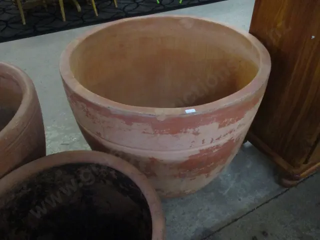 Largest Pot Image 1++