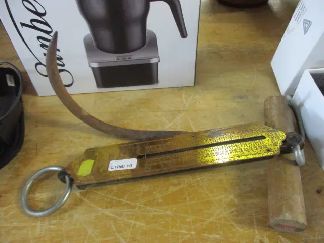 Scales and Bail Hook Image 1++