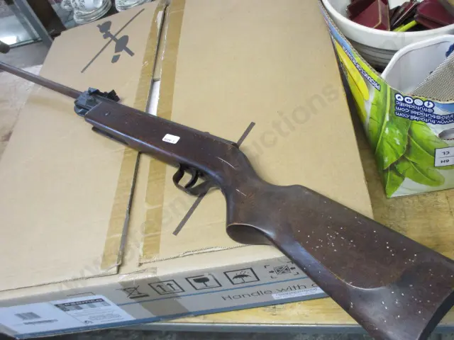 Slug Rifle Image 1++