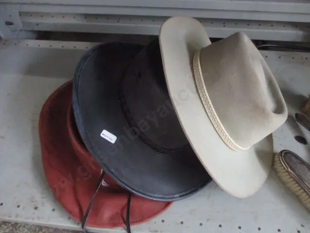 Hats Image 1++
