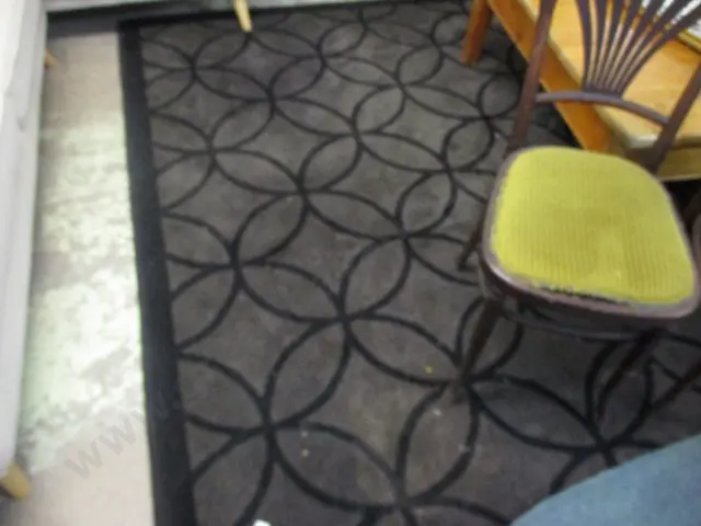 Large Rug Image 1++