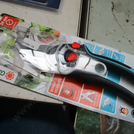 Pruner