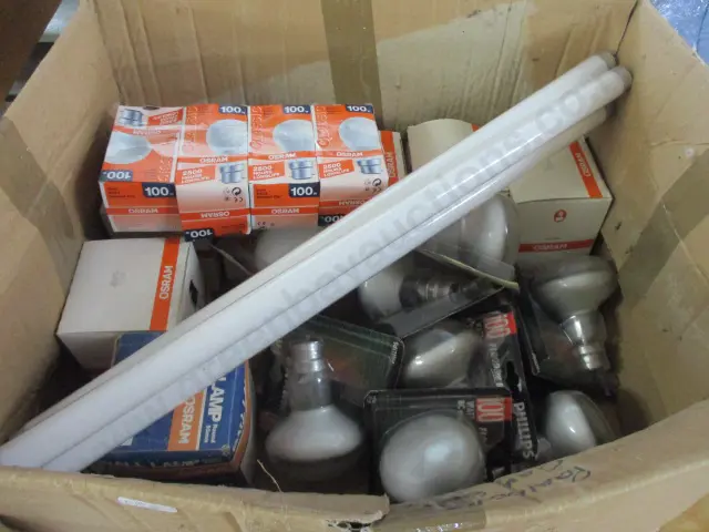 Bulbs Image 1++