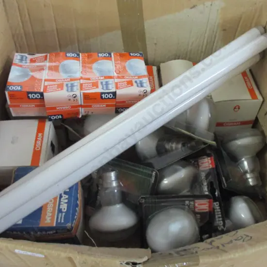 Bulbs