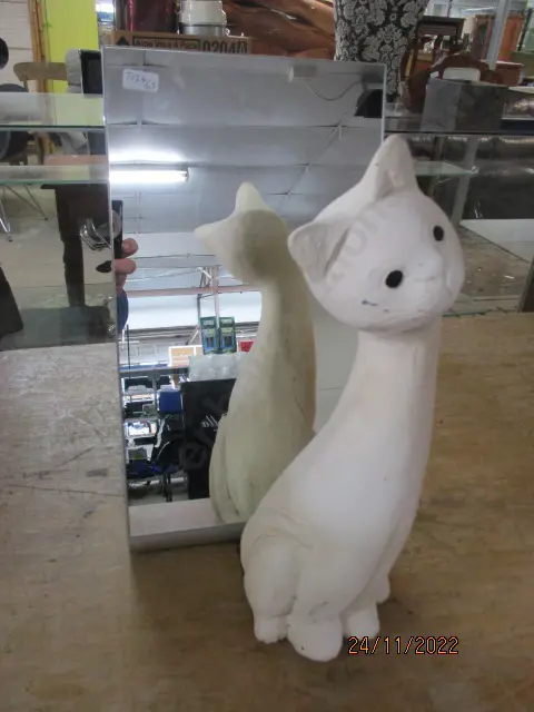 Miror and Cat Image 1++