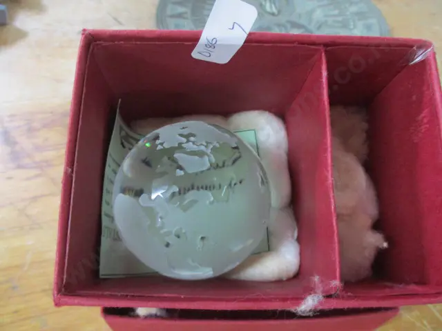 3D Crystal Globe Image 1++