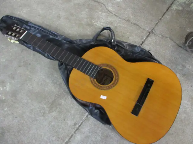 Guitar Body Image 1++