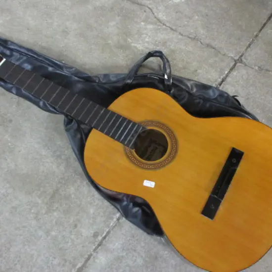Guitar Body