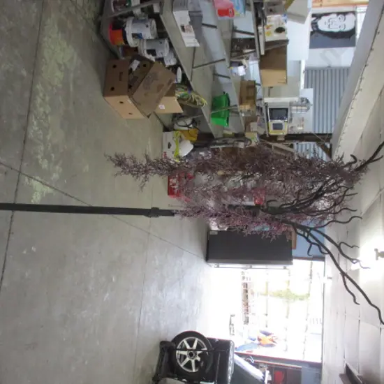 Metal Stand