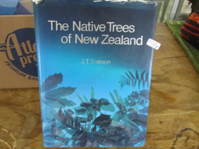 Book Image 1++