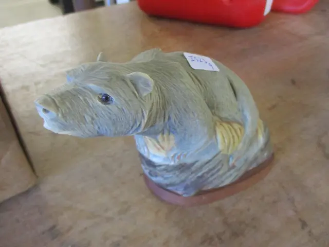 Bear Image 1++