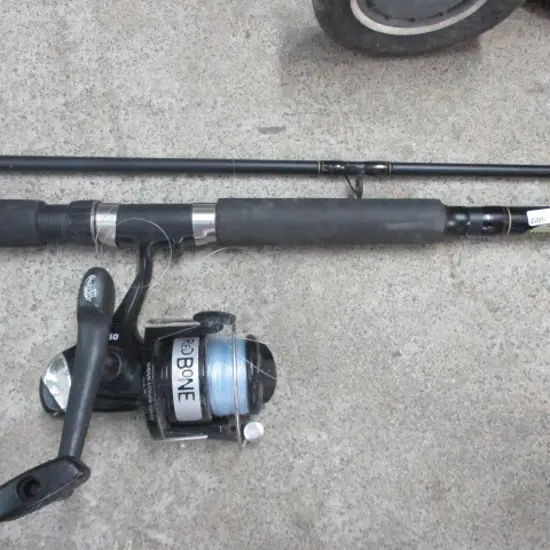 Rod and Reel