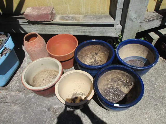 Plant Pots Image 1++