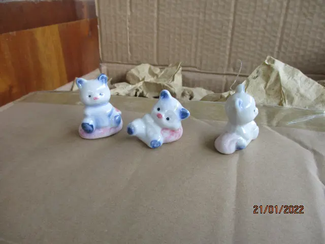Bears Image 1++