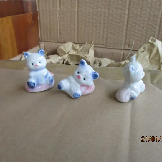 Bears
