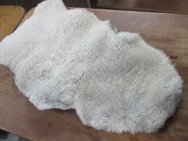 Sheepskin Image 1++