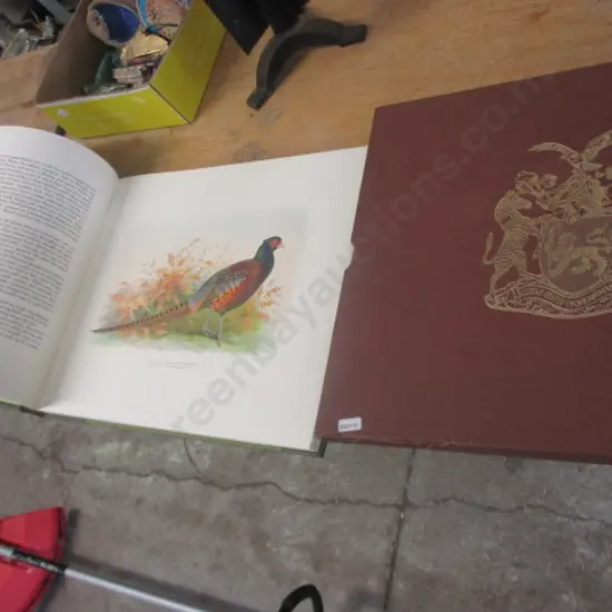 Book Birds