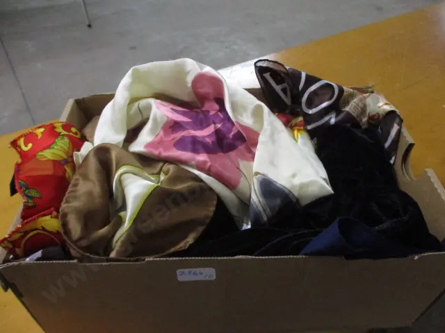 Scarves Image 1++