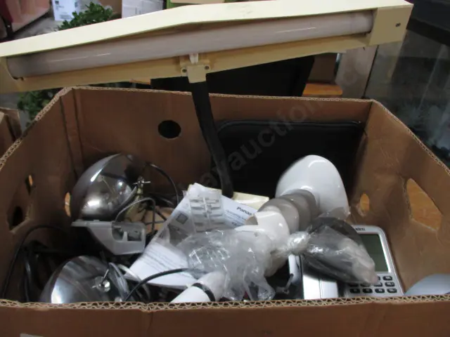 Box Asst Image 1++