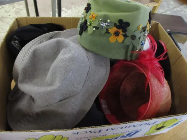 Hats Image 1++