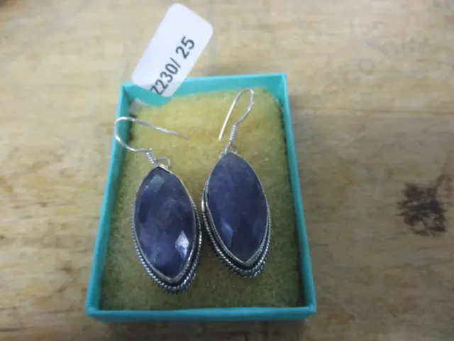 Earrings Image 1++