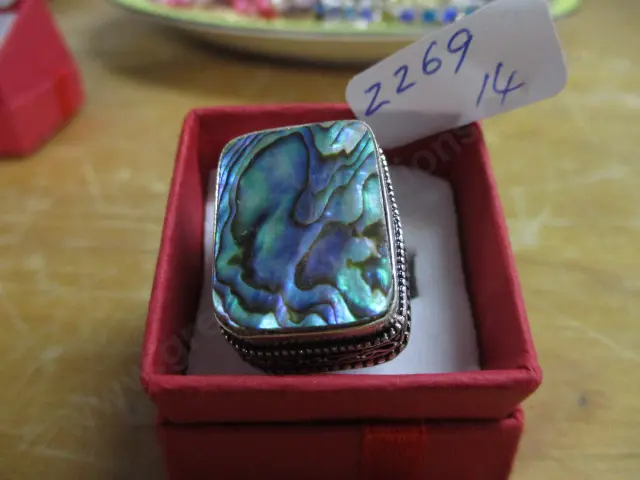 Ring Image 1++