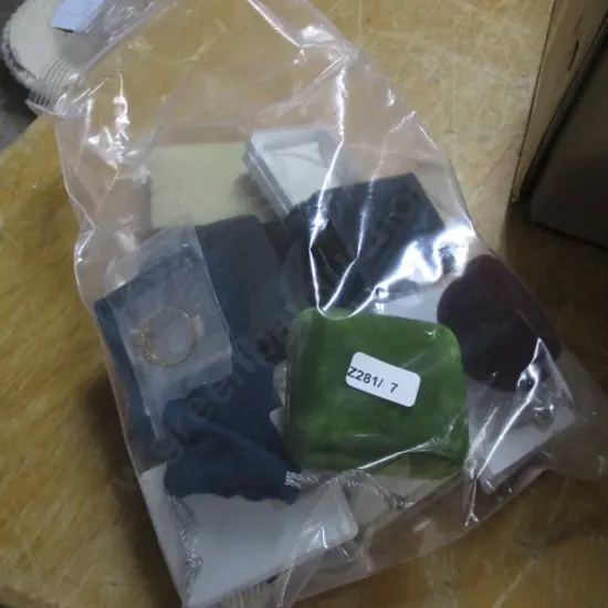 Bag Costume