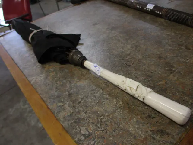 Ivory Handled Parasol Image 1++
