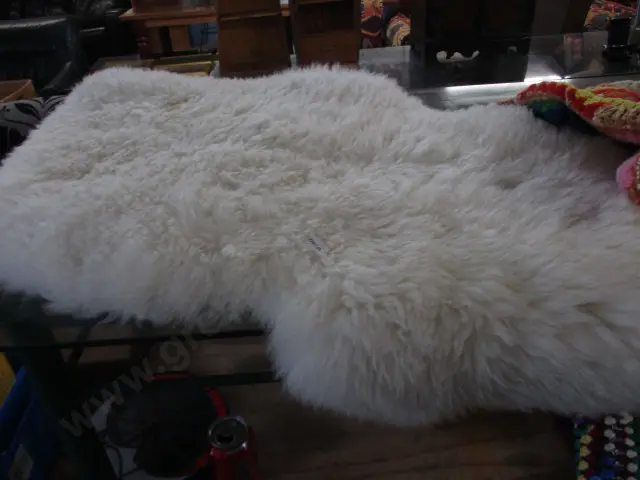Sheepskin Image 1++