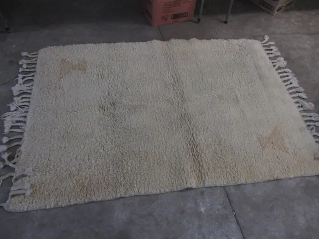 Rug Image 1++