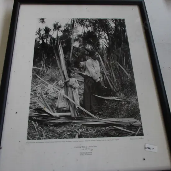 Photo Flax Cutters