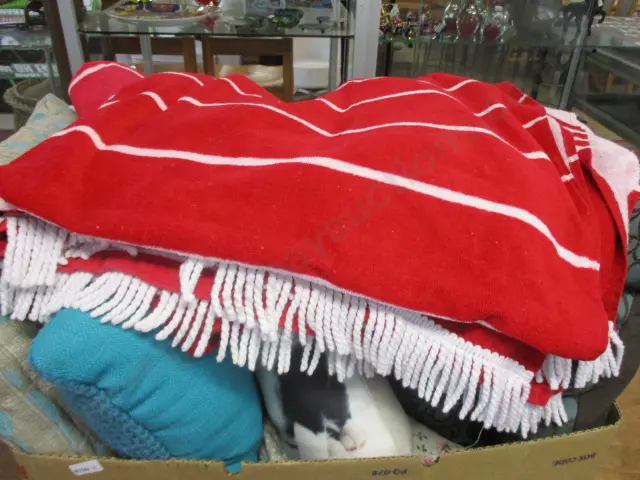 Cushions and Throws Image 1++