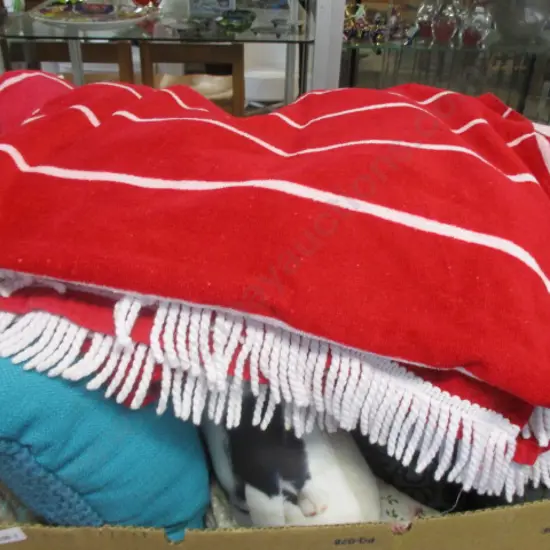 Cushions and Throws