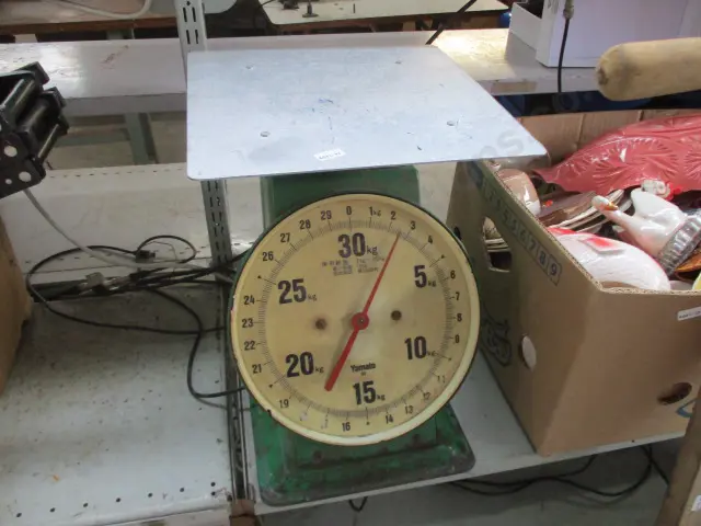 Scales Image 1++