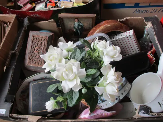 Collectables Image 1++
