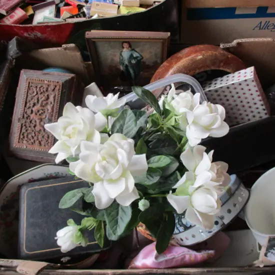Collectables