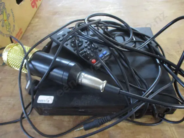 Mic and Dvd Player Image 1++