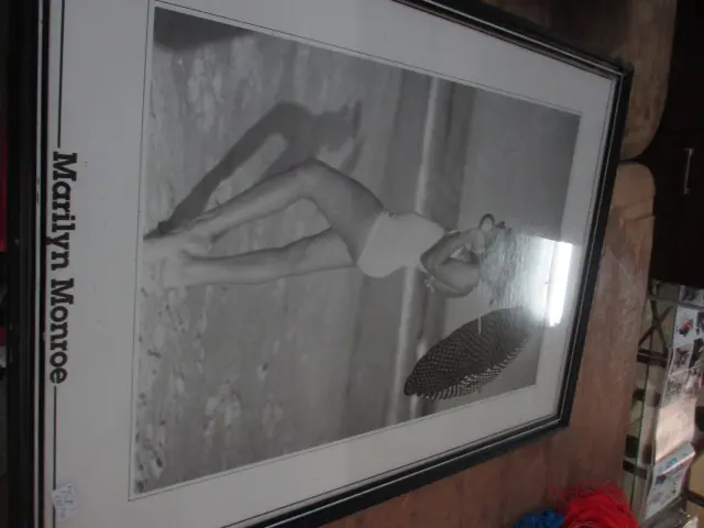 Marilyn Print Image 1++