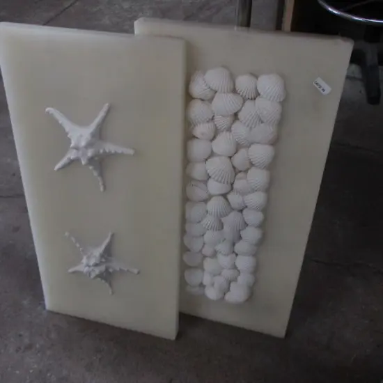 Shell Art